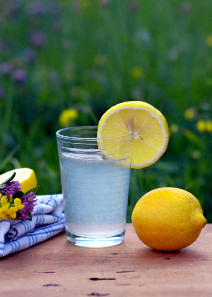 Lemons_Gordana Heilkraft der Zitrone