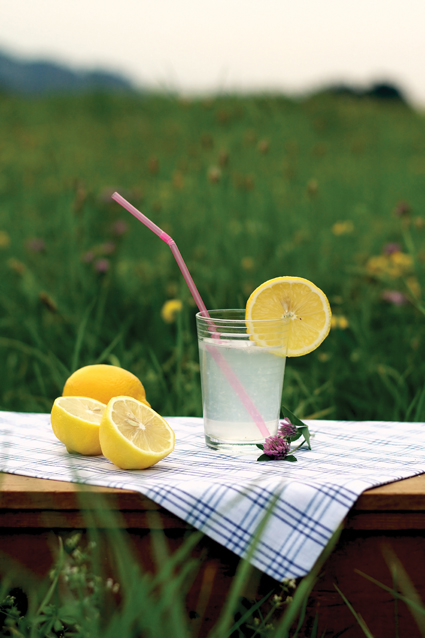 Lemons_Gordana2 Heilkraft der Zitrone