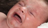 schreibaby dreimonatskolik