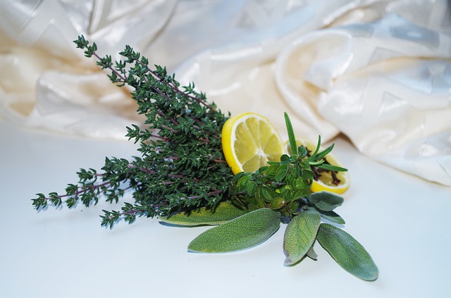 Husten, herbs-1061631_640