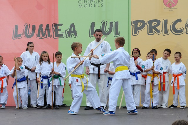 karate-502384_640