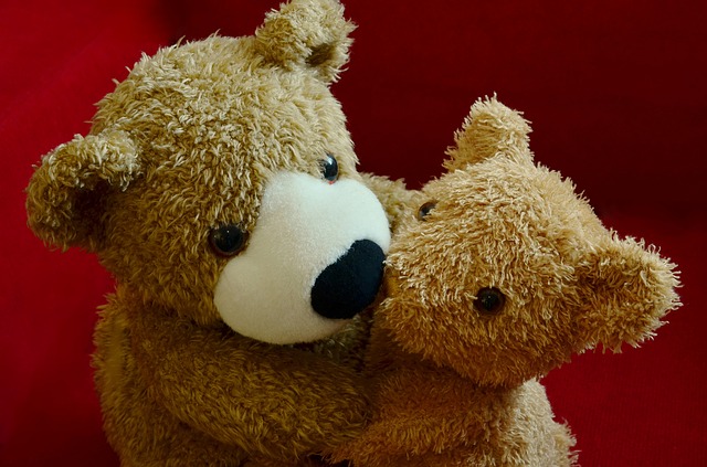 teddy-1113207_640