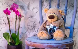 teddy-bear-1710641_640