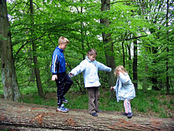 Waldkindergarten