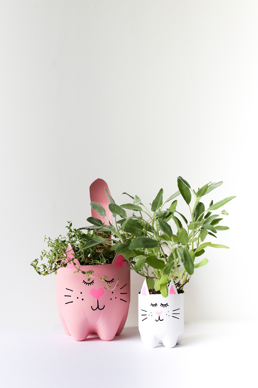 DIY-Kitty-Cat-Soda-Bottle-Planter-Salty-Canary-34-of-35-copy