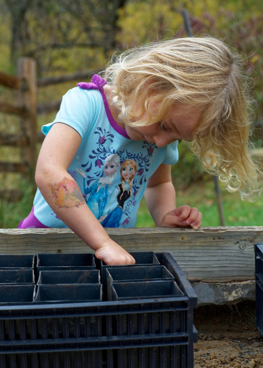acorn-planting-941552_1280