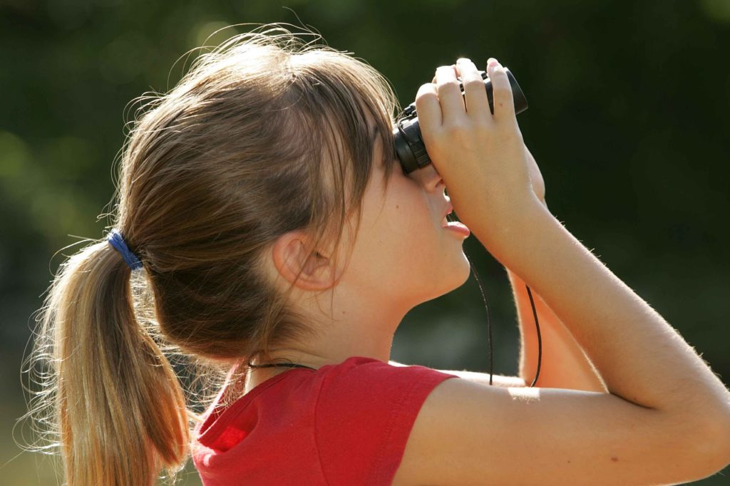 Spieideen: Natur beobachten