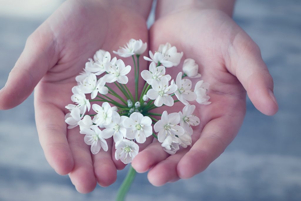 Blüten sammeln macht aufmerksam, auf aales, was draußen wächst.