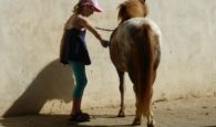 Reiten für Kinder