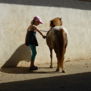 Reiten für Kinder