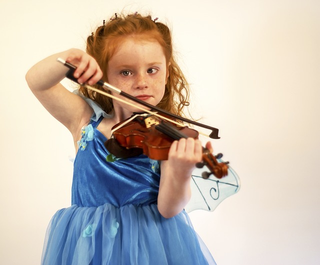 violin-1617787_640