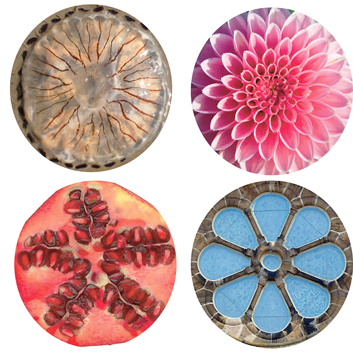 Mandalas aus der Natur