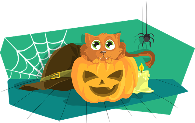 Halloween cat-1456173_640