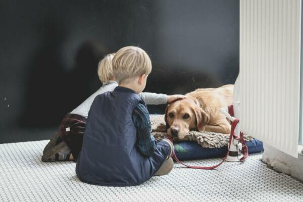 Zwei kleine Jungs mit Hund