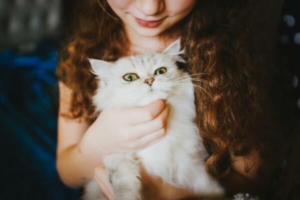 Mädchen mit weisser Perserkatze