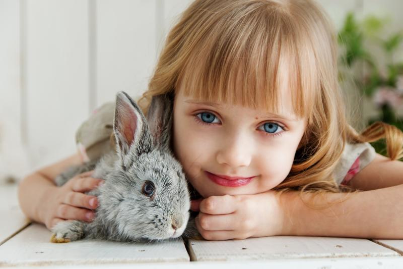 Tierschutz im Schulalltag