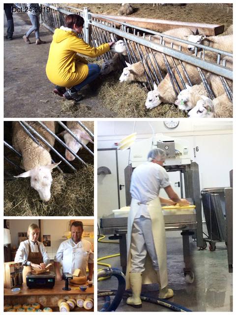 Texel – Käseherstellung