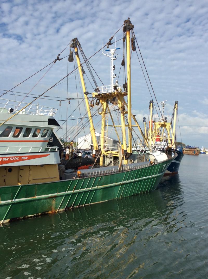 Texel – Krabbenfischer