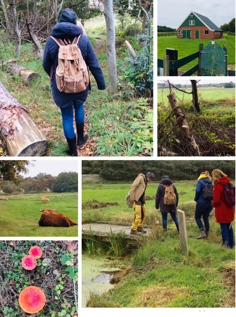 Texel – Wald