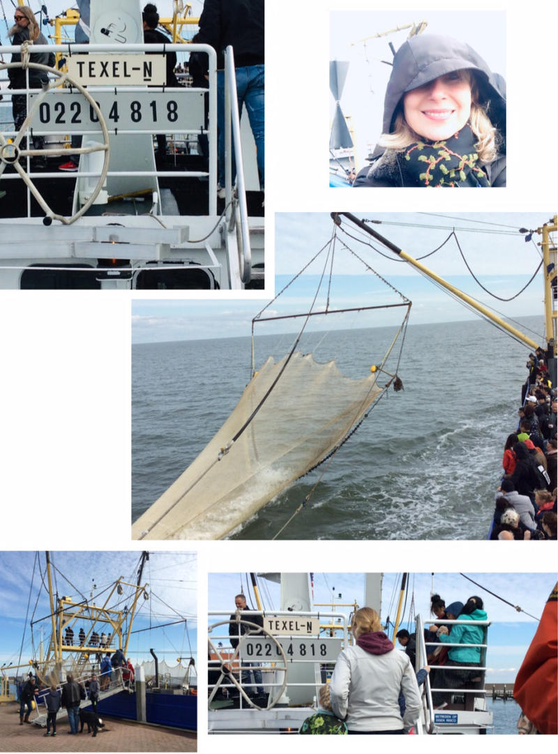 Texel – Krabbenfischer