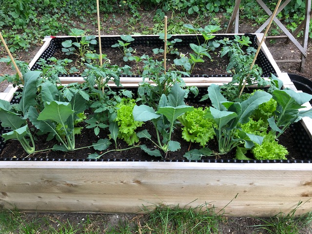 Gärtnern mit Kindern - Hochbeet