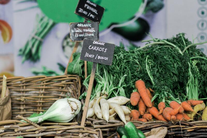 Grundeinkommen finanziert Bio-Ernährung