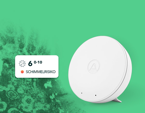 Schimmelbelastung erkennen -Wwave Mini von Airthings