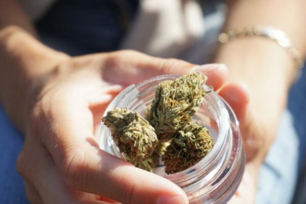 CBD flowers
