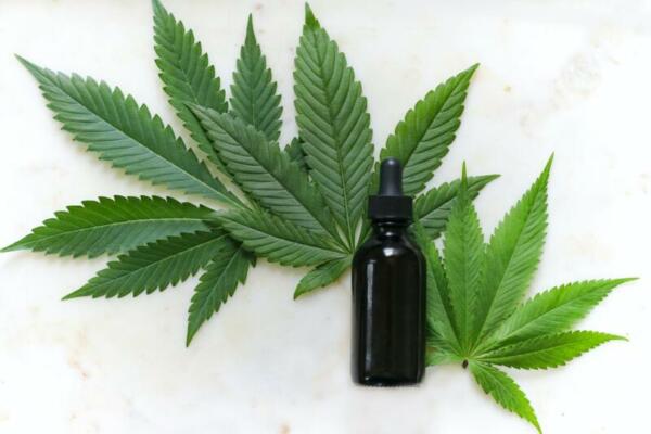 CBD-Oil with leaf