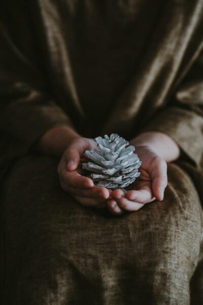 Pinecone in kids hands