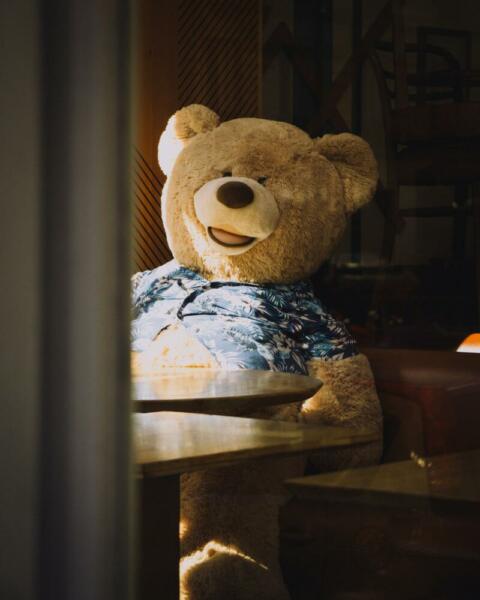 Teddybear