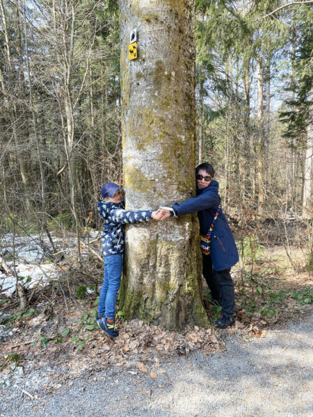 Tree-hugging _ mein Freund, der Baum!,