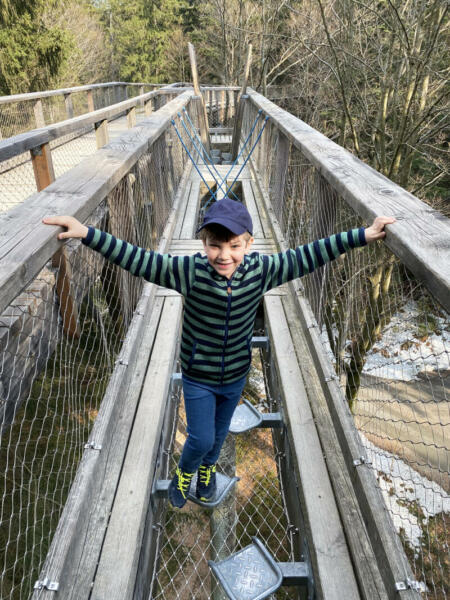 Junge auf Brücke im r Baumwipfelpfad in Neuschönau