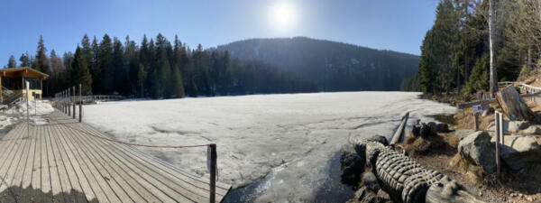 Am zugefrorenenn Arbersee scheint die Sonne