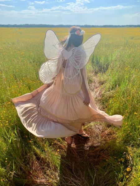 Fairy in Meadow