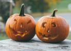 Halloween Kürbisse