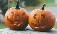 Halloween Kürbisse