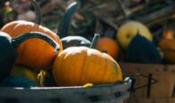 Pumpkins