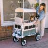 VW-KinderVan als Zweisitzer von WonderFold_Lifesyle_Bild1